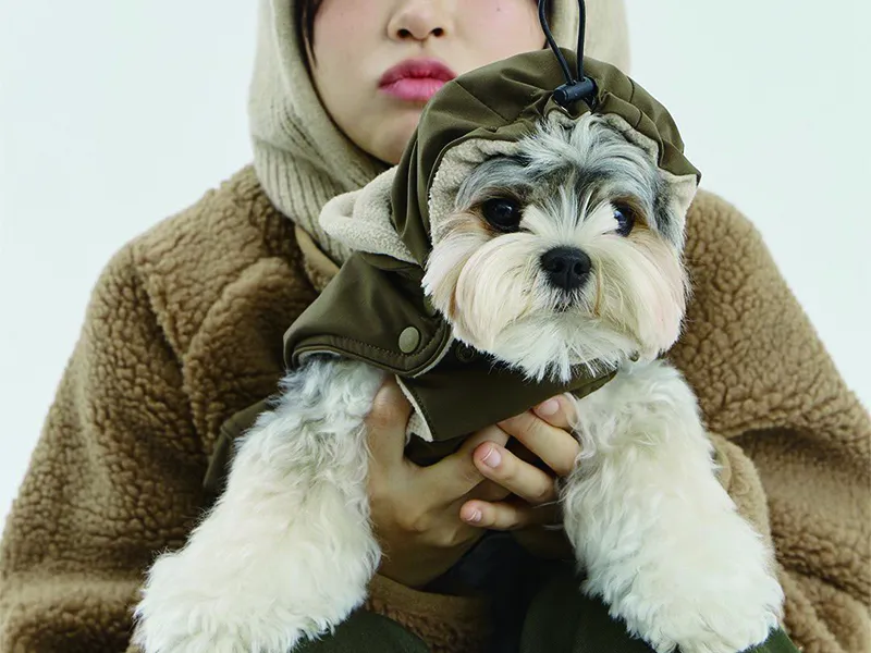 13-关键单品宠物户外服-MERLIE-10