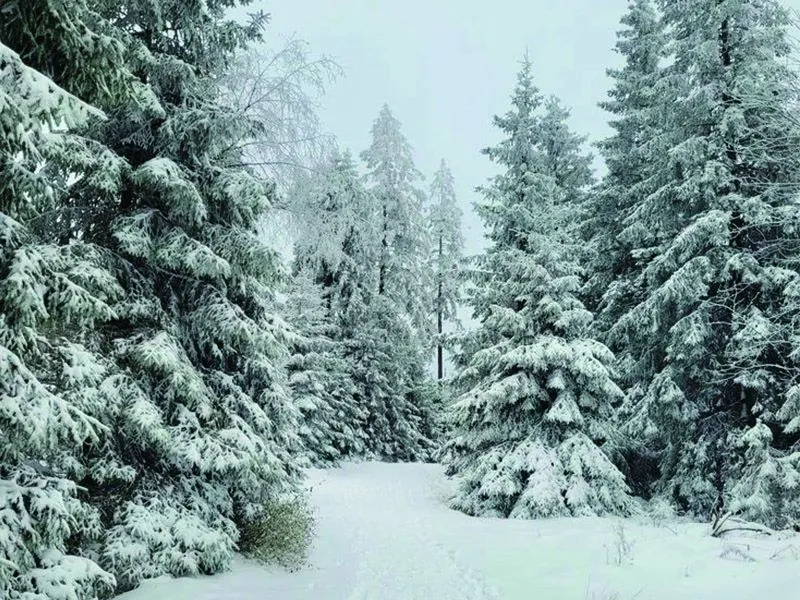 style_quiet_luxury_ski